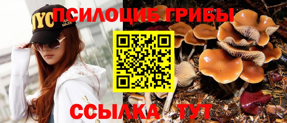 Галлюциногенные грибы Psilocybe Рассказово